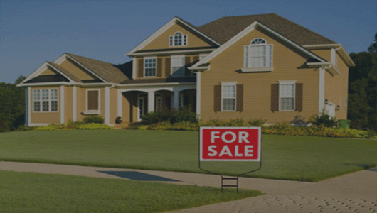 Real Estate